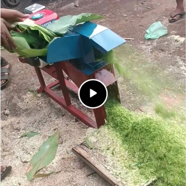 96ad852ff3010112bdfd1c28dd9ae158.jpg promo ramadhan MESIN PENCACAH RUMPUT/ MESIN PENCACAH/MESIN MULTIFUNGSI TERMURAH SEKOTAK MEDAN