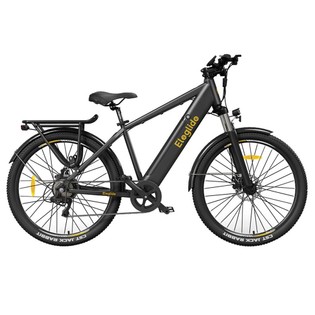 Eleglide T1 36V 250W Electric Bike
