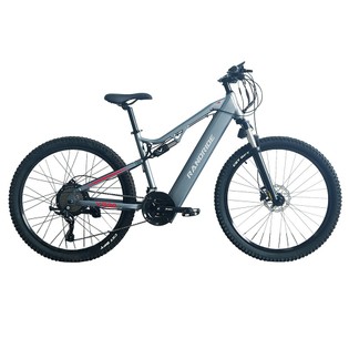 RANDRIDE YG90A Electric Bike 1000W